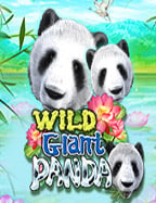 รีวิวบา คารา เล่น ฟรีบา คารา เครดิต ฟรี จากค่ายยอดฮิต PG Slot